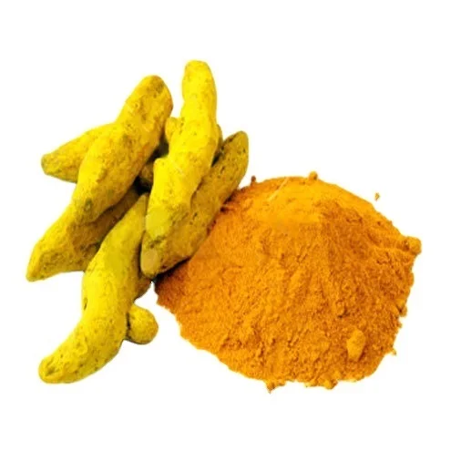 high premium top best quality indian turmeric powder exporter manufacturer supplier from india