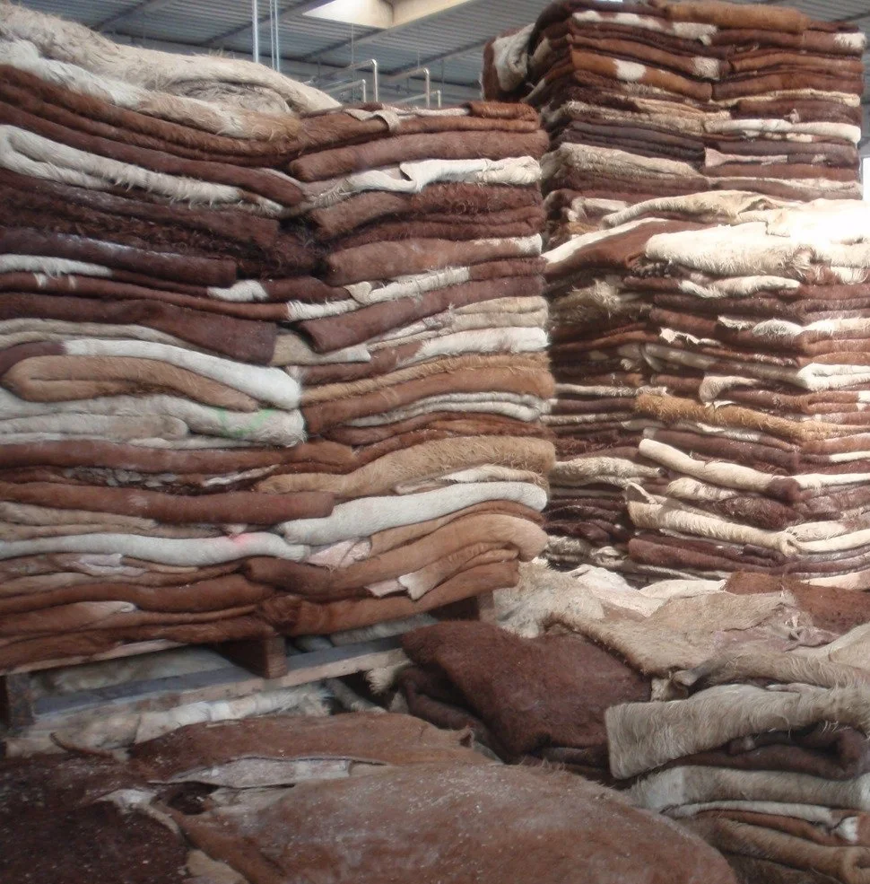 Top Quality Wet Salted & Dry salted Donkey Hides & Cow Hides/Cattle Hides