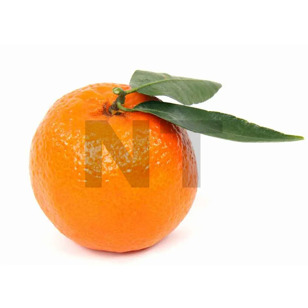 Свежие китайские апельсиновые фрукты для продажи | Новый сезон, Лучший Китайский апельсин от Пакистана