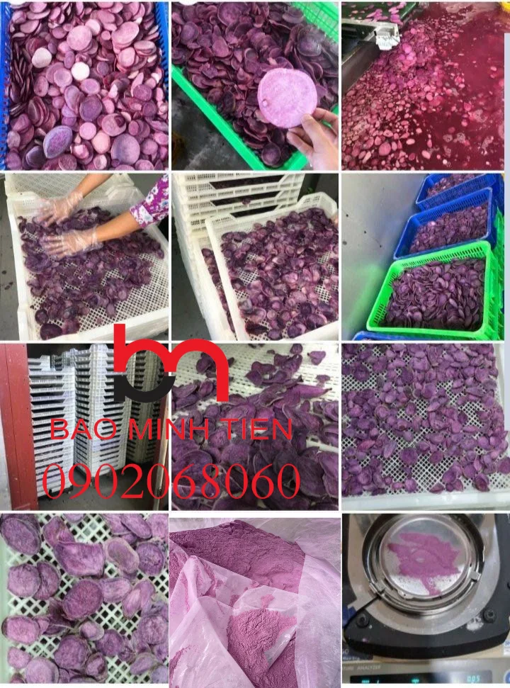 VIETNAM Purple Sweet Potato Powder For Wonderful Coloring