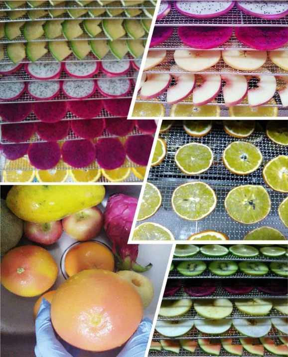  Оптовая продажа высушенный фруктовый чай DETOX // конкурентоспособная цена из Вьетнама Ms Sofia Whatsapp + 84 789 946 878