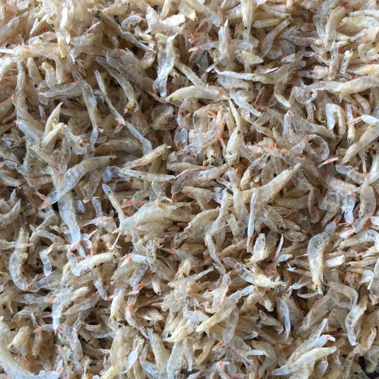 HIGH QUALITY - DRIED BABY SHRIMP FOR SALE