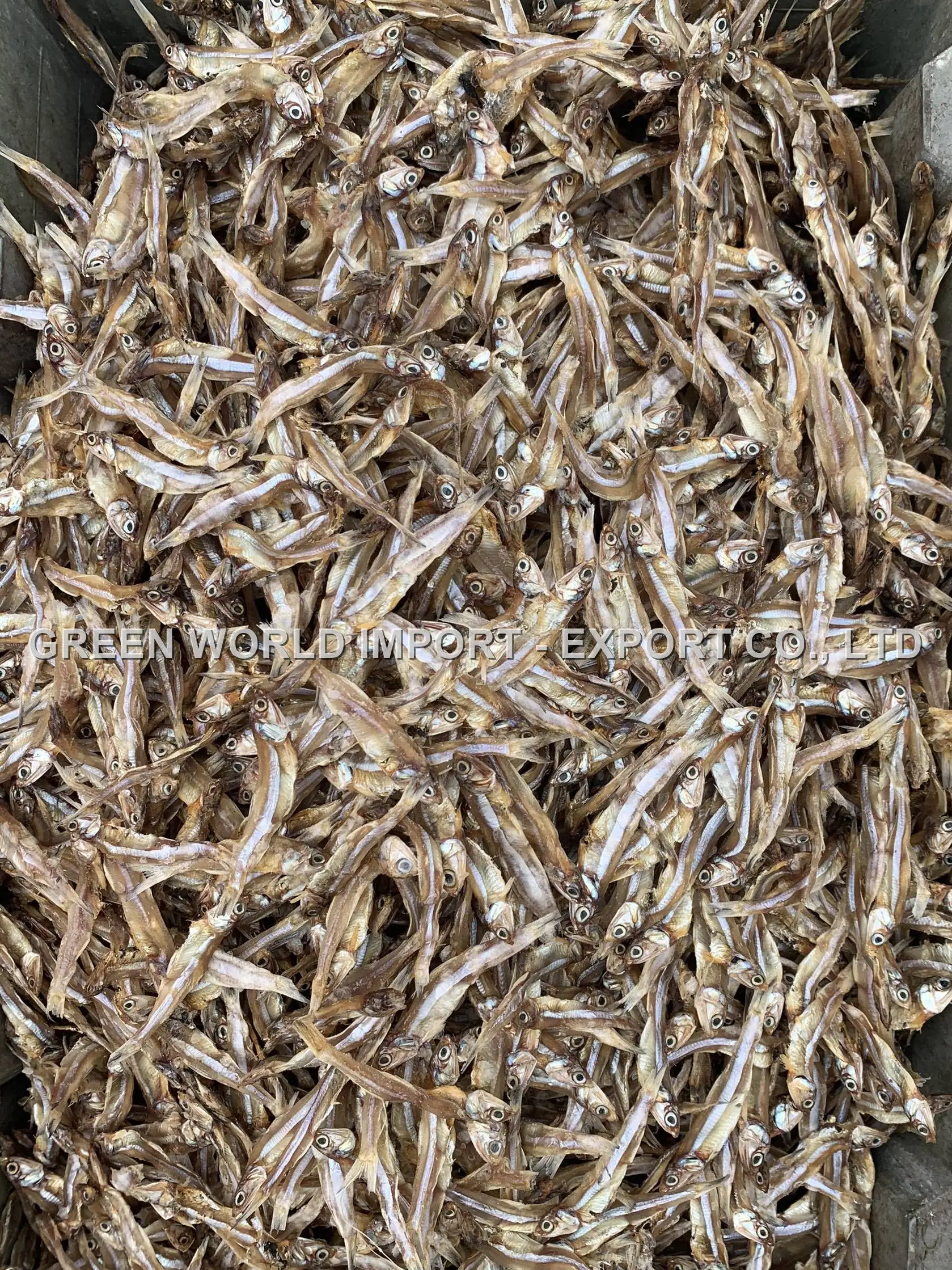 THE FINEST QUALITY OF DRIED ANCHOVY FROM VIETNAM WITH AN IMPRESSIVE PRICE - NATURAL SUNDRY & NUTRITIOUS FOR HEALTH