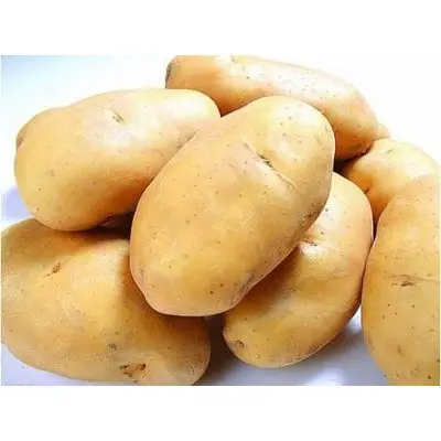 China Hot Sale Fresh Potato Export