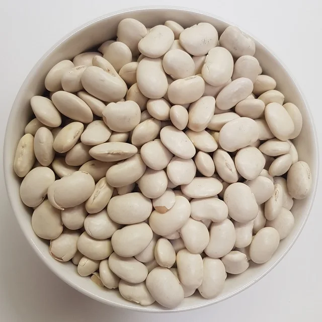 Premium high superior Quality Butter Bean