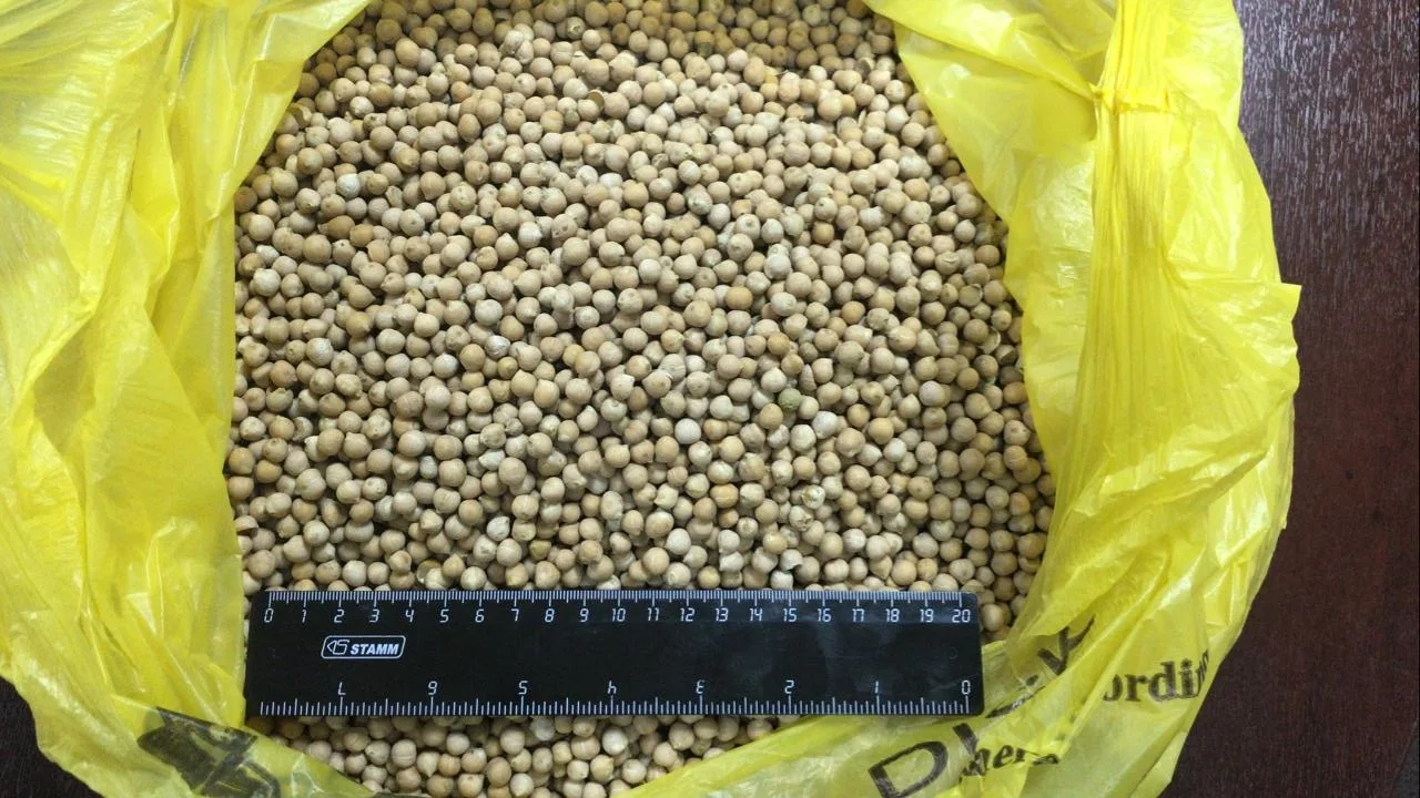 
Chickpeas caliber 5+ 