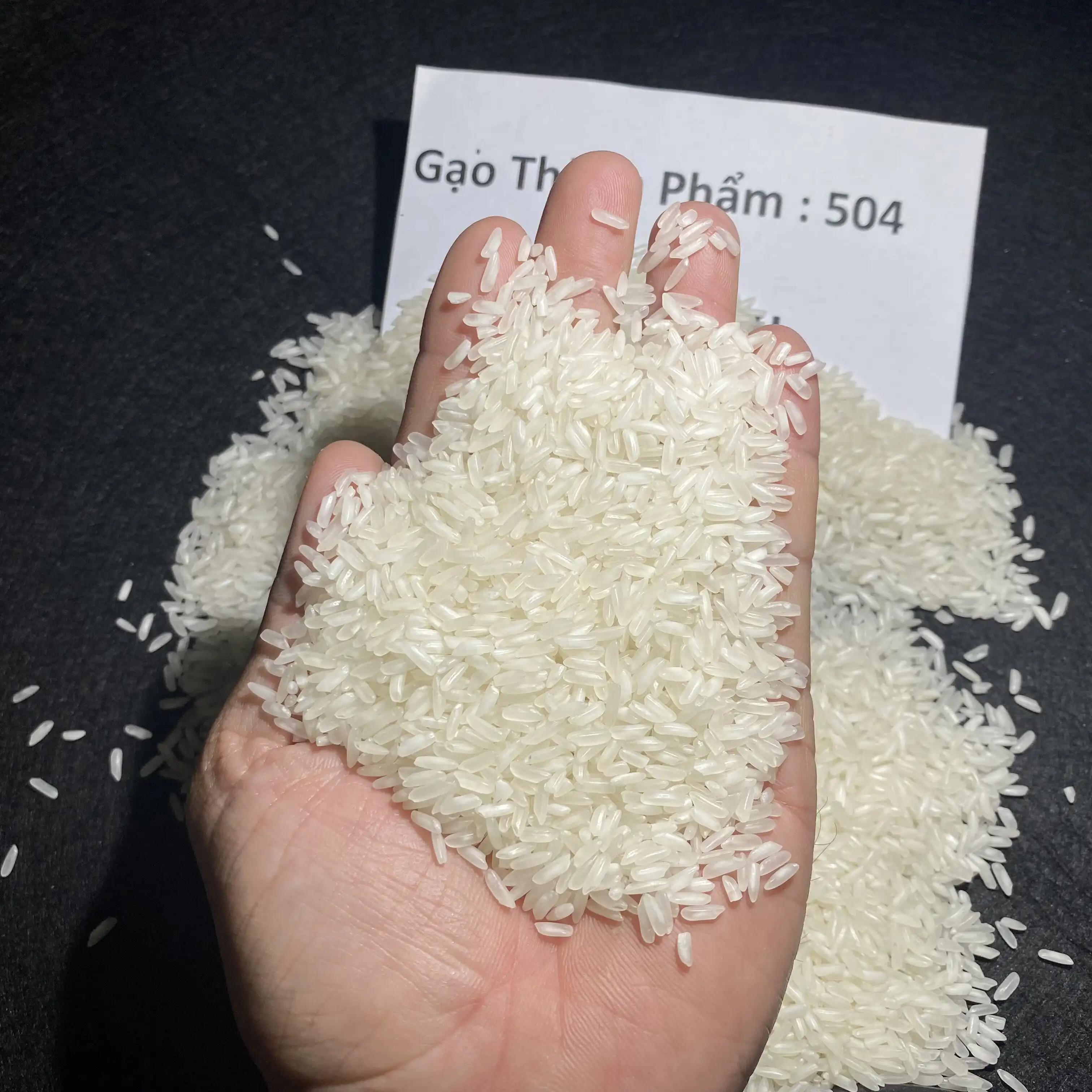 Long Grain Rice 5% Broken Made In Viet Nam rise