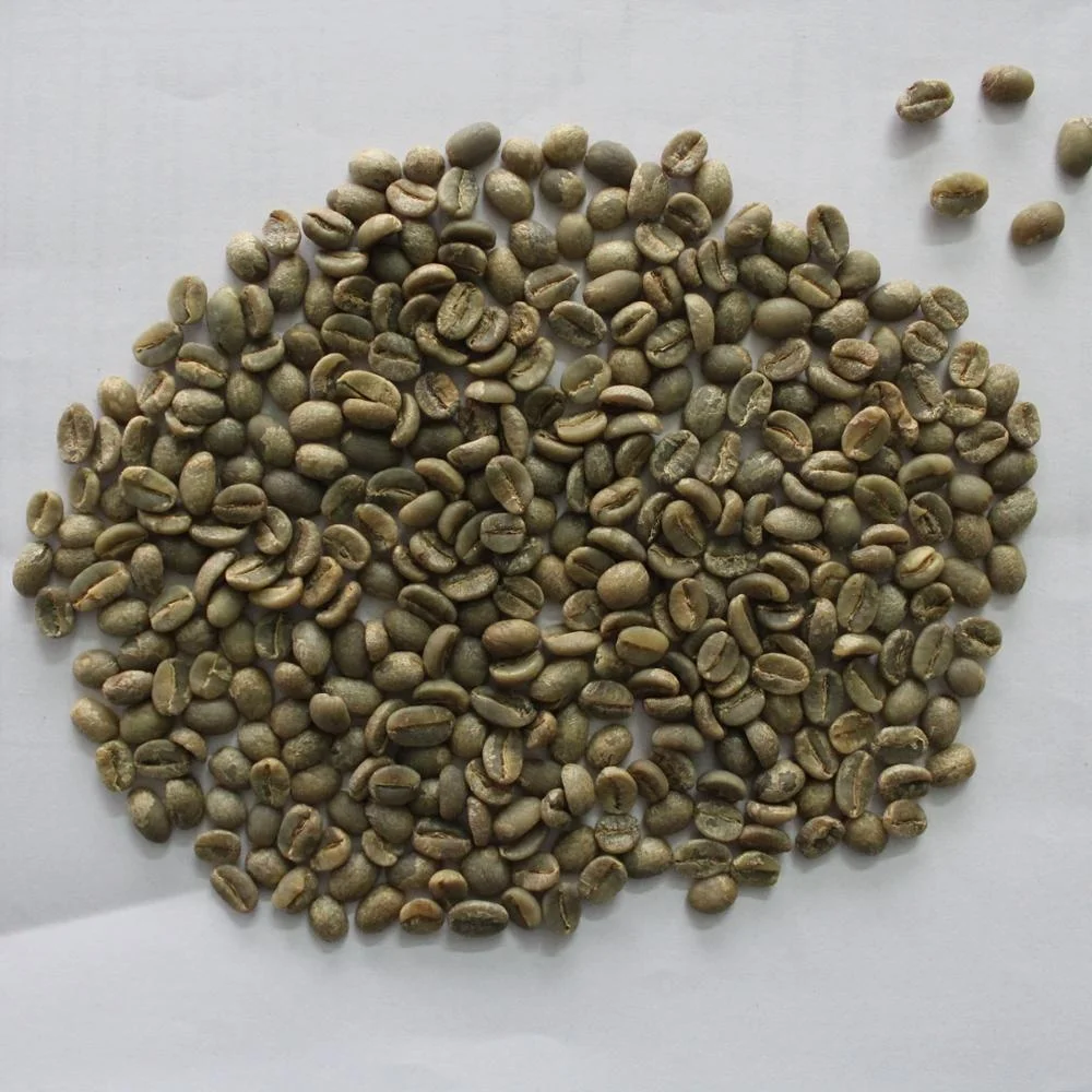Top Selling Roasted Robusta Coffee Bean with High Quality Coffee Beans Wholesale Cheap Price From India