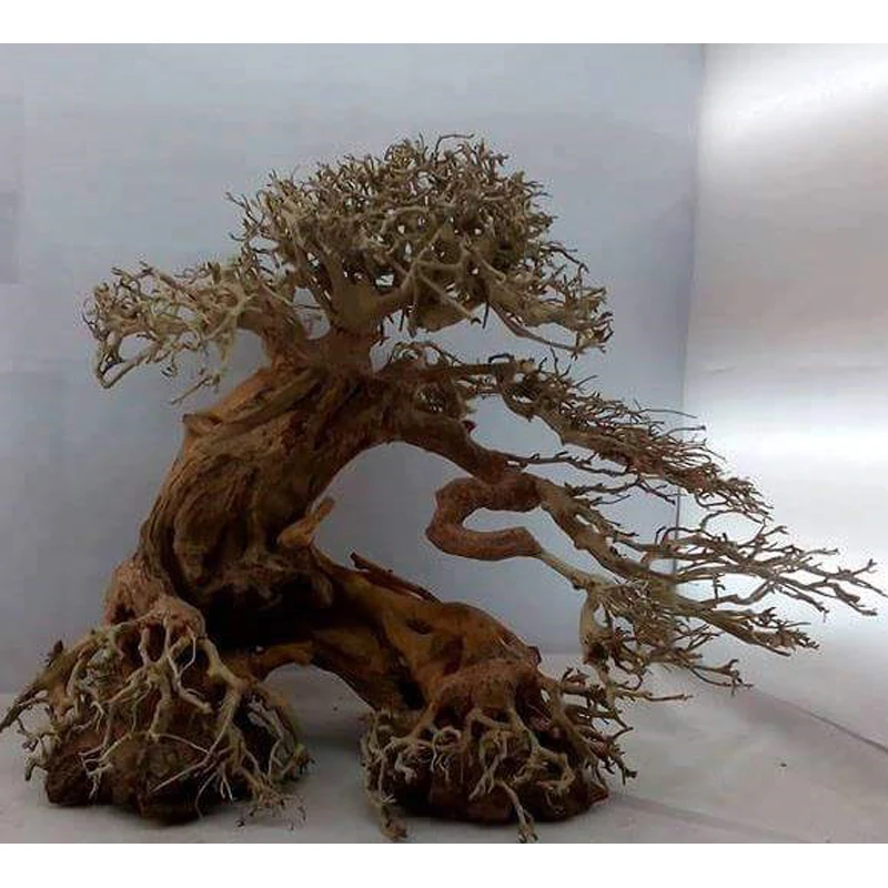 2024 лучшие продукты натуральных коряг бонсай для украшения аквариума вивариум WhatsApp + 84 961005832