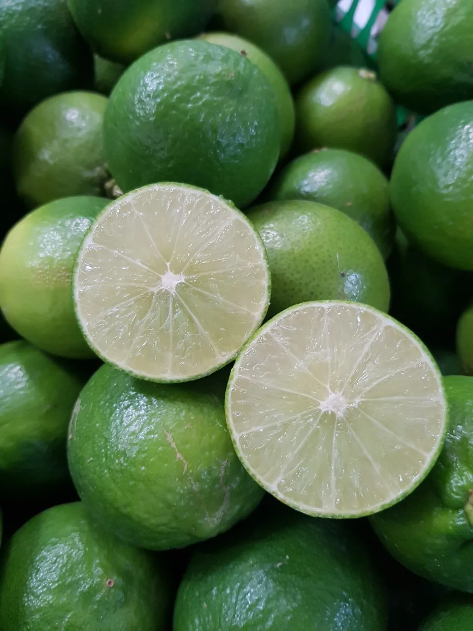 Лидер продаж на японском рынке свежий зеленый лайм хорошая цена высокое качество оптовая продажа без налога из Вьетнама