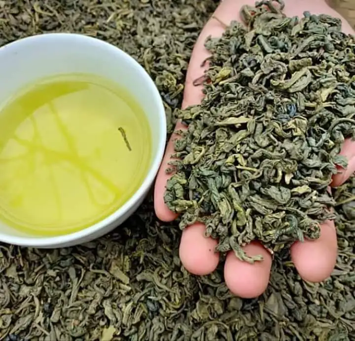 Vietnam OP green tea good price for sale  green tea new crop 2022