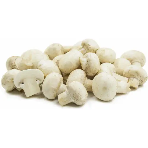 Dried Shiitake Mushroom Dried Food High Quality Shiitake Mushroom Wholesale Price