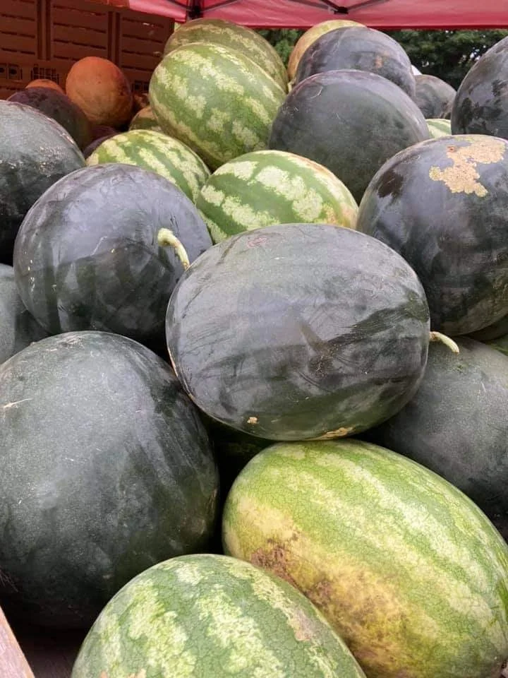 Fresh fruits Watermelon