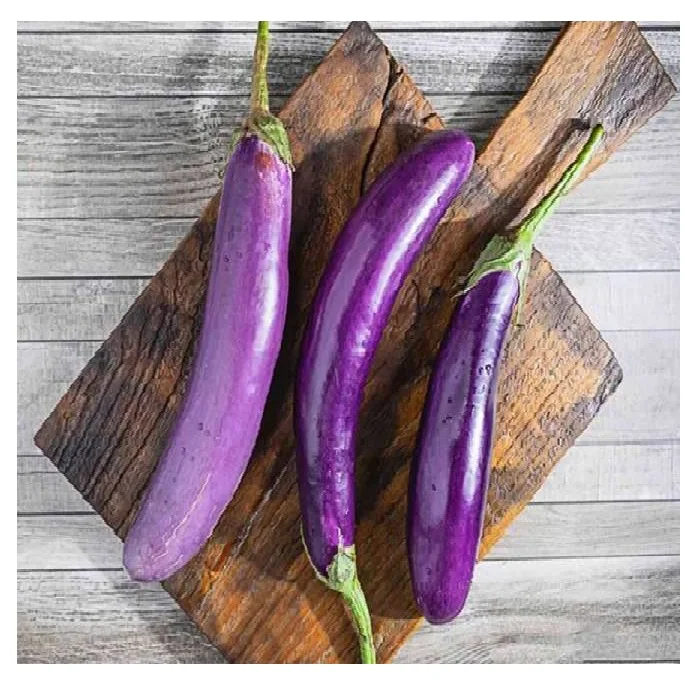 
EGGPLANT / FRESH PURPLE EGGPLANT / PURPLE FRUIT [Edna +84 919 04 5050] 