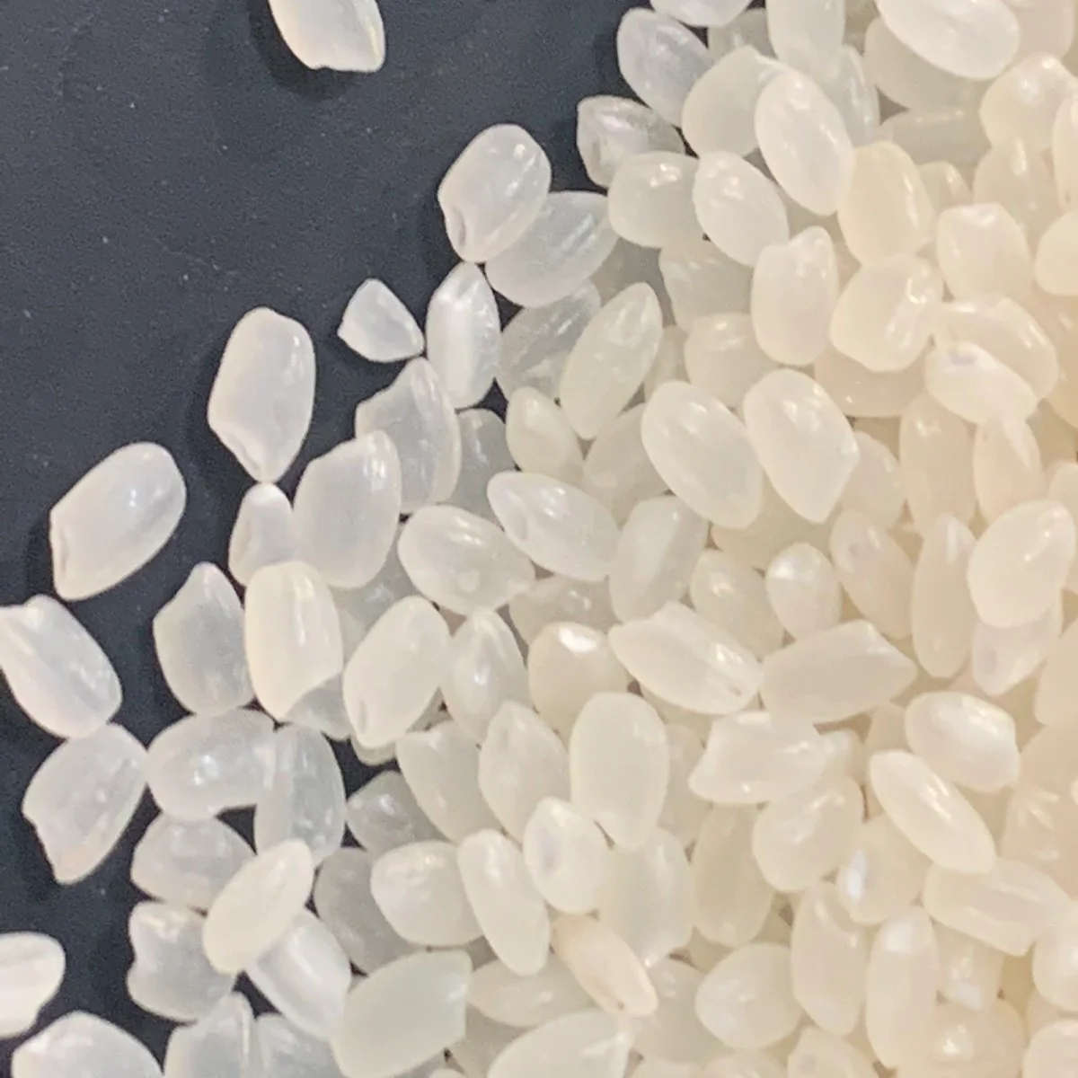 
High Quality Soft Shiny Japonica Short Round Seeds White Rice From Organic Rice Fields in Vietnam 