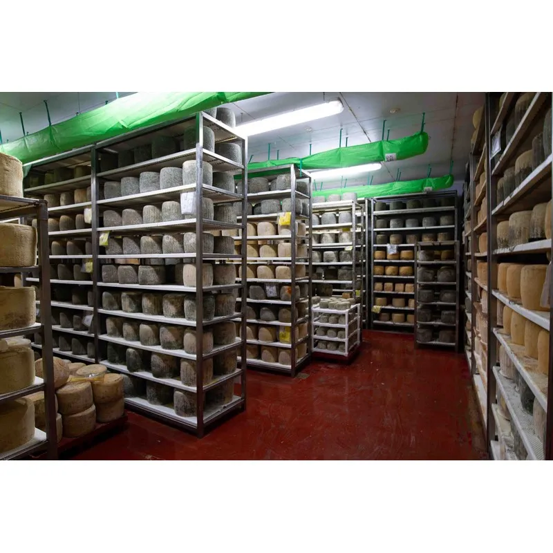 High Quality Italian PEZZETTONI sheep milk cheese with pecan nuts 0.5kg ready for export