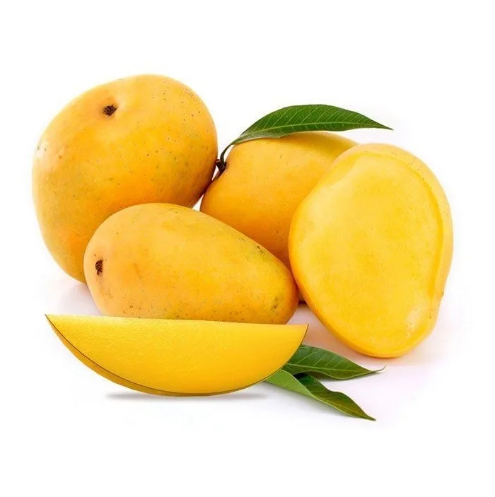 Fresh Mango High Quality Vietnam Fresh Fruit Mango Cheap Price