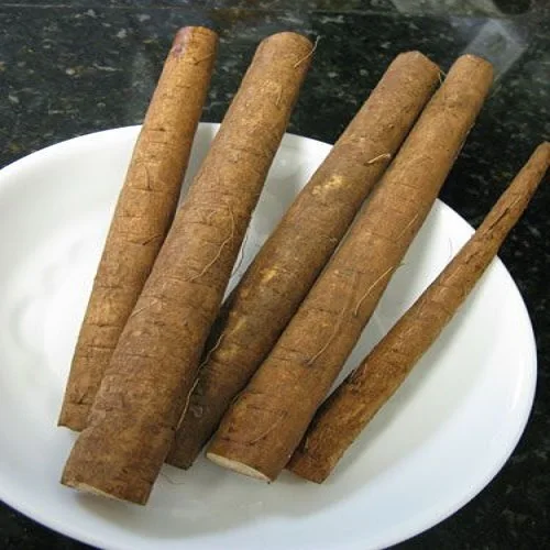 Fresh Burdock For Sale / Extract burdock / High Quality Pure Natural Burdock Root