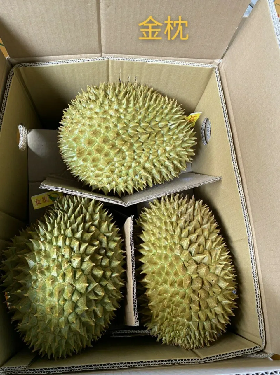  Оптовая продажа Ri6 Durian высококачественные фрукты мисс Эшли + 84 933396640