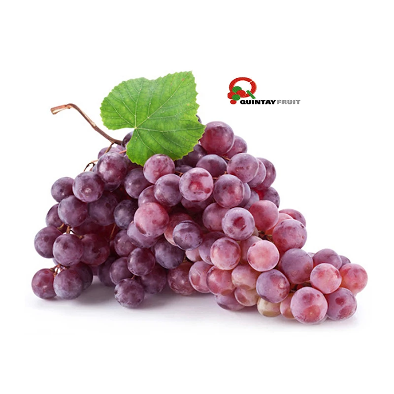 Low Price Red Seedless Fresh Grapes Crimson Red Grapes Crimson Seedless Grapes With Less MOQ