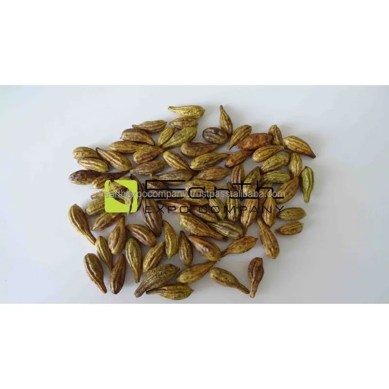 Поставщик семян харитаки из Индии, выгодная цена, семена харитаки отличного качества, семена харитаки