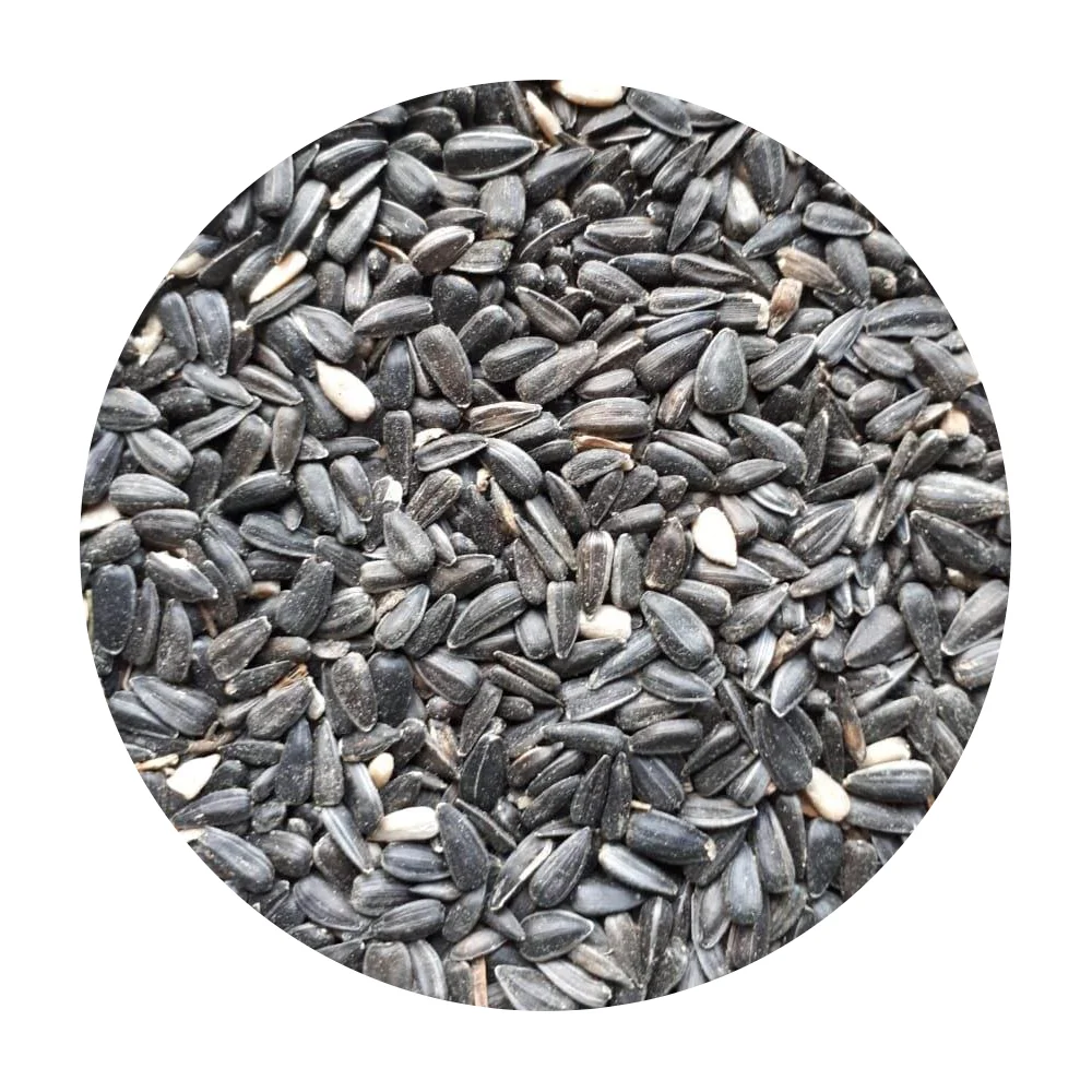 Семена подсолнечника 500MT