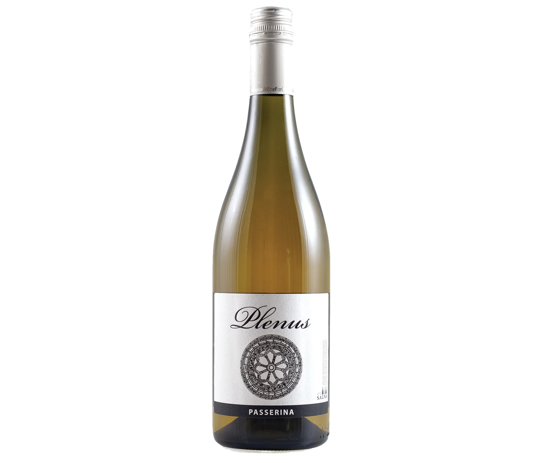 Plenus Pecorino Passerina Organic 13,50% Italy Italian White Wine Abruzzo 750ml vino elegant soft vinho alcoholic beverage wines