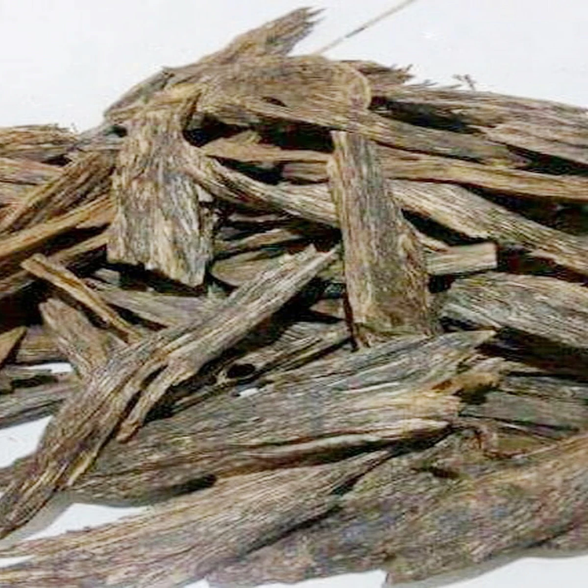 Agarwood Apari
