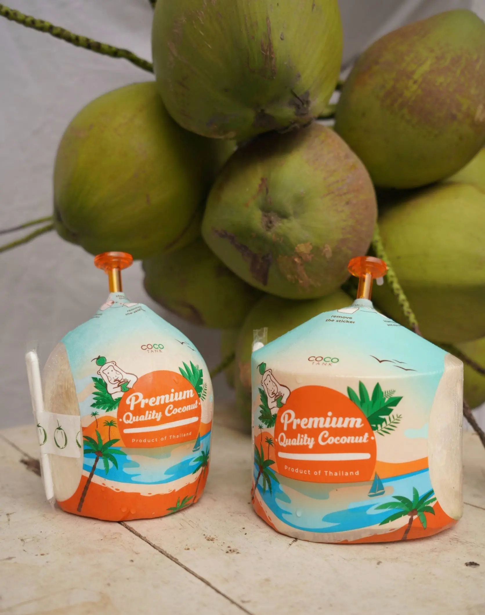 (Easy open) Premium Fresh Coconut From Thailand