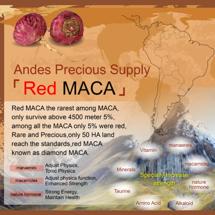 Taiwan Iso Maca Extract Increase Male Confidence Hot Sex Time Capsule
