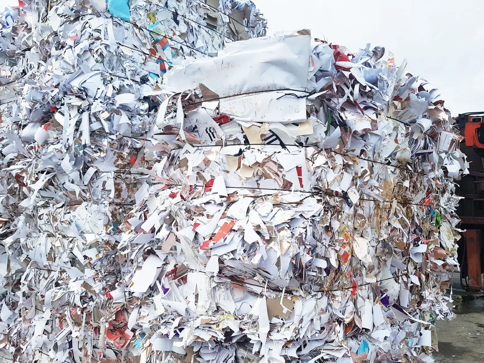  WHITE WASTE PAPER SCRAP OCC ONP SOP OMG/OLD NEWSPAPER & OVER-ISSUED NEWSPAPER/ MIXED