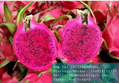 High Quality and Best Price Red Flesh 350-600gram Vietnam US, EU, ASIA Market Sweet Taste Fresh Dragon Fruit