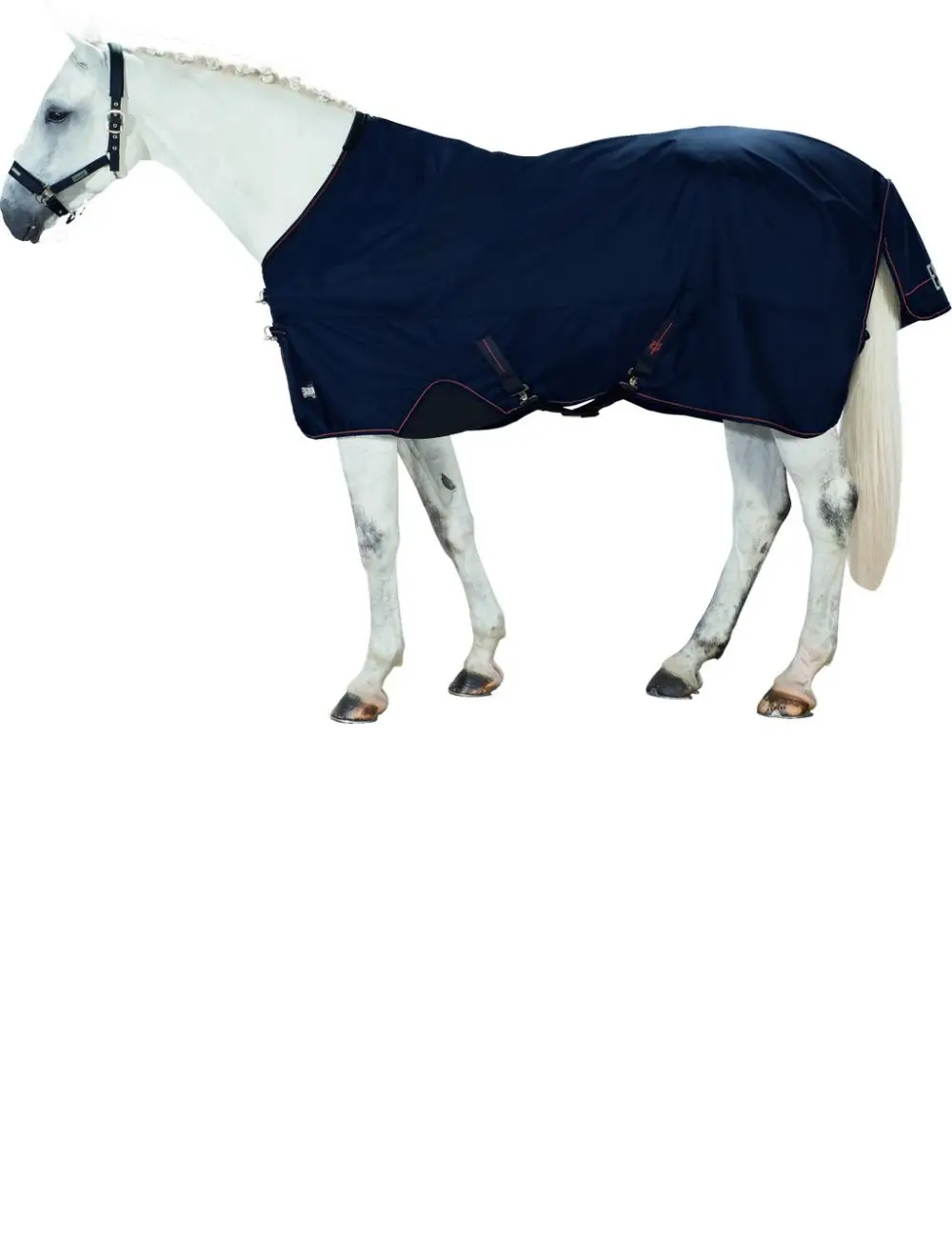 High Quality Soft Fabric Horse Winter Clothing Blanket Custom Horse Rugs, Horse Blanket rugs Cotton by canleo international