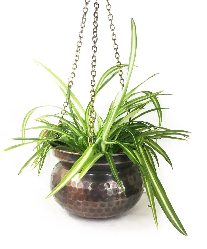Handmade Hand Hammered Antique Look Flower Pot With Copper Hanging 11cm-15cm-17cm-20cm