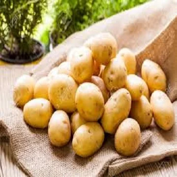 Fresh Potato For Sale