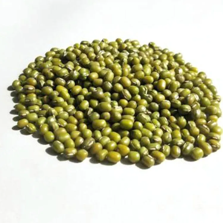 
Wholesale Premium Factory Sell High Quality Dried Green Mung Beans 