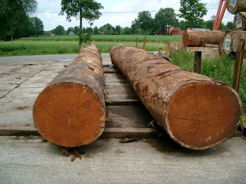 Wholesale Supplier Doussie Wood Logs For Sale In Cheap Price Bulk Doussie Wood Logs