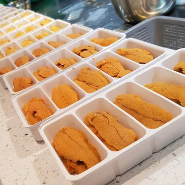 
Quality Frozen /Fresh Sea Urchin For Export Best Price 