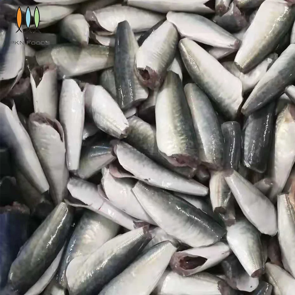 Scad Fish BLOCK Frozen Seafood Seasonal Whole Body Decapterus Maruadsi Round Scad HGT with Box Packaging