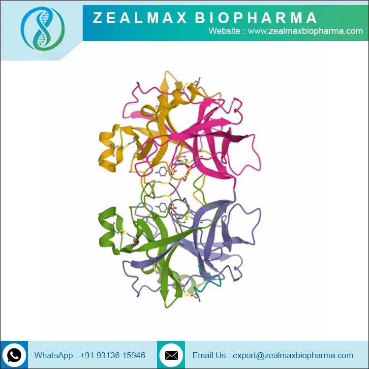 Оптовая цена Заводская поставка химотрипсин ферменты по оптовой цене-Zealmax Biopharma