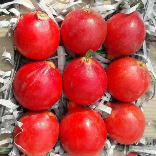  Свежий индийский гранат на ферме-наш акцент фруктах и очистке