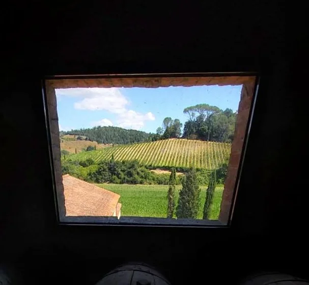 White wine supertuscan Chardoannay  2016