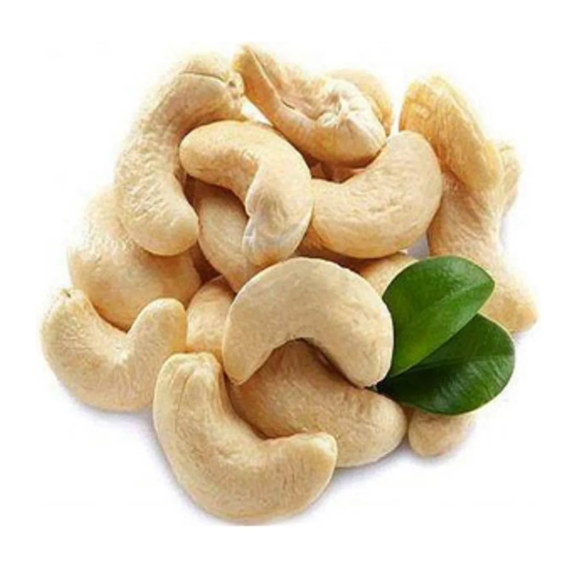 2021 New !!! High quality vietnam processed cashew nut 25-50-100kg (ISO 9001:2008, HACCP...)
