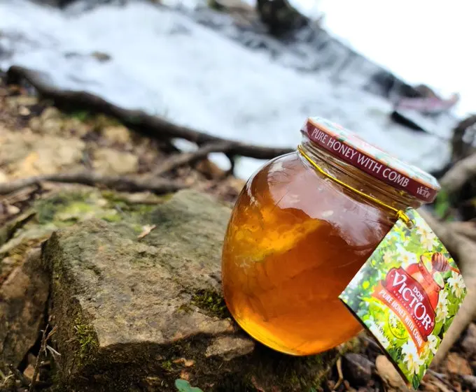 Чистый мед с гребнем 6/16 унций
