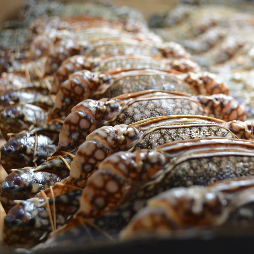 Best Wholesale MiCAN Good Price Seafood Fresh Frozen Blue Flower Crab From Denmark