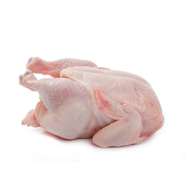 Best Suppliers Brazil Halal Frozen Whole Chicken, Frozen Chicken Paws