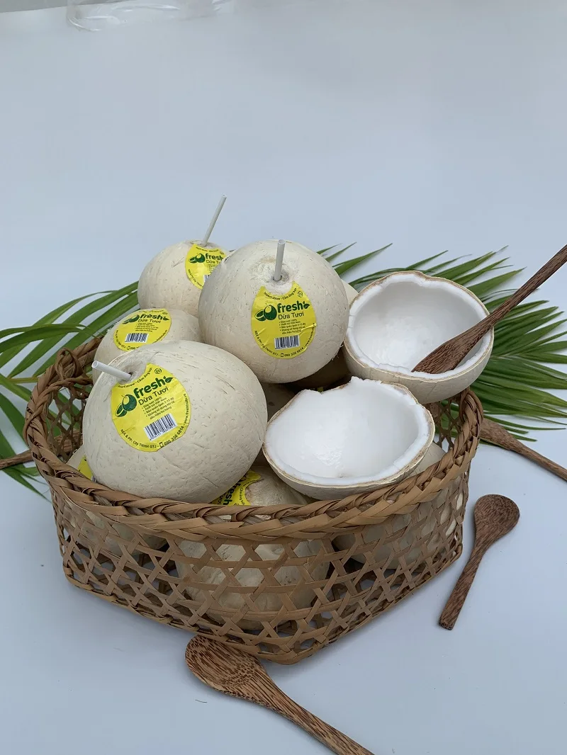 
Top Selling Bulk Natural Whole Fresh Convenient Coconut With 4 Weeks Shelf Life From Vietnam 