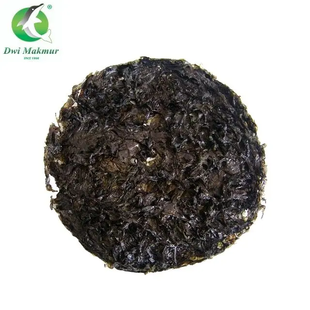 Premium Grade Factory Price 25g dried seaweed for making soup vermicelli high quality instant dried seaweeds from China
