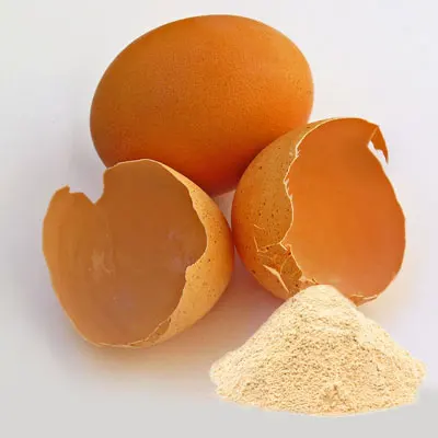 Egg Powder Hydrolyzed Salted Egg Yolk Powder For Baking