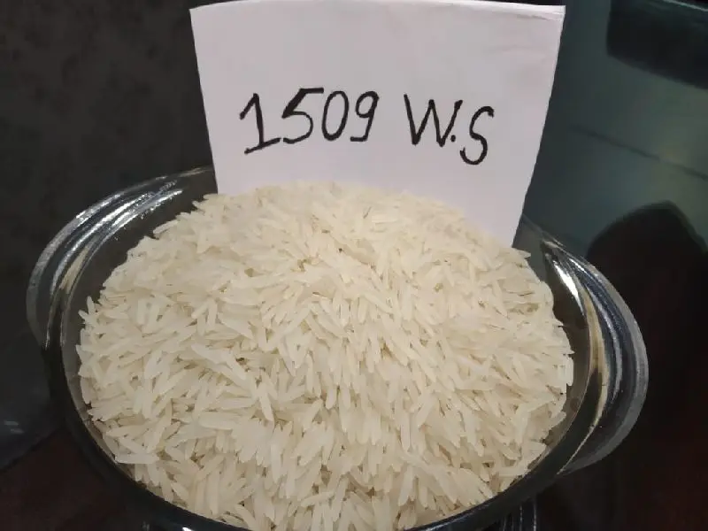 1509 SELLA WHITE BASMATI Wholesale Factory Price 1509 Factory Supply Rice Rich Quality